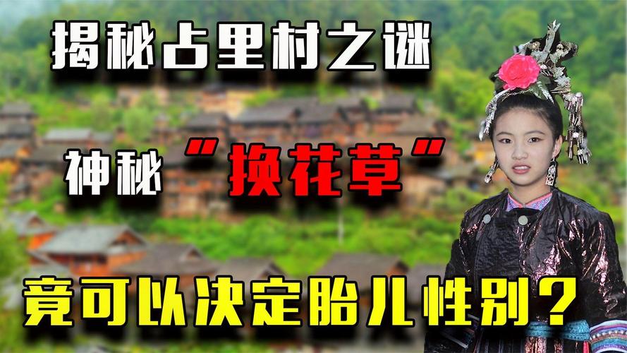 换花草之谜视频，换花草的真正秘密视频  第6张