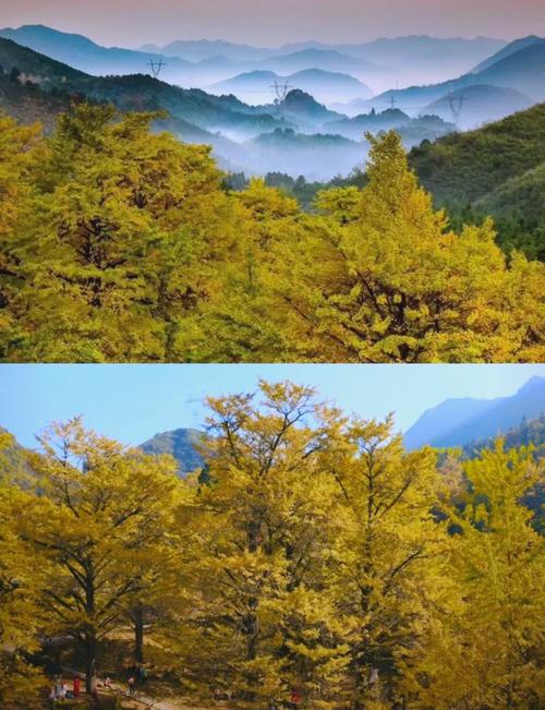 下载双牌县天气预报，双牌天气双牌天气  第1张