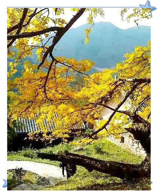 下载双牌县天气预报，双牌天气双牌天气  第2张
