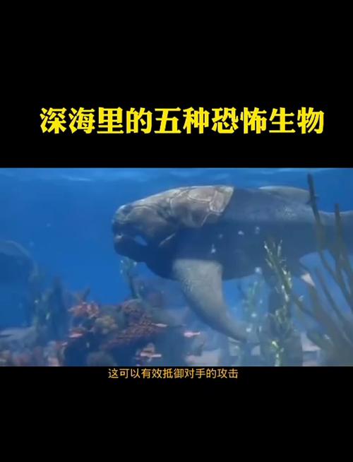天蛾人灭绝了吗？天蛾人已经灭绝了吗？  第1张