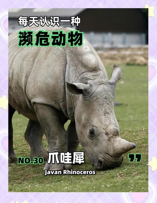 天蛾人灭绝了吗？天蛾人已经灭绝了吗？  第2张