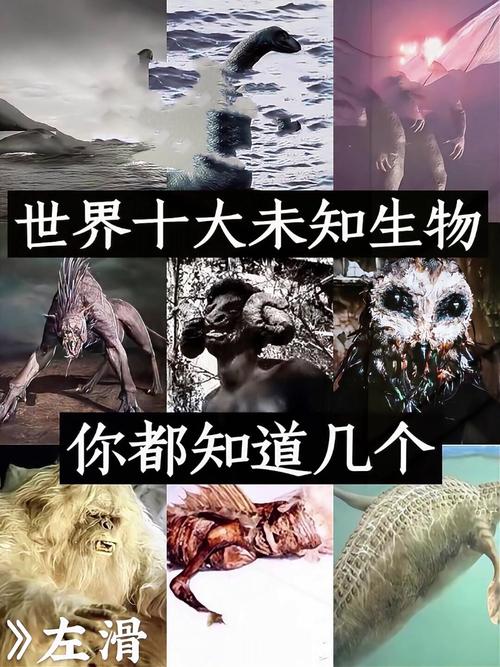 天蛾人灭绝了吗？天蛾人已经灭绝了吗？  第4张