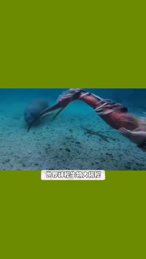 天蛾人灭绝了吗？天蛾人已经灭绝了吗？  第6张