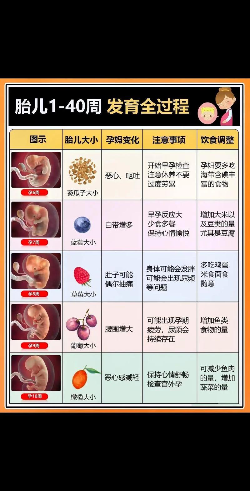 芝麻妹妹的图片，芝麻女孩照片？  第3张