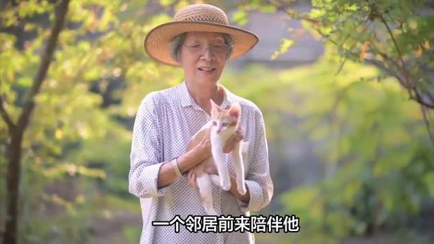 哈尔滨猫脸老太太焦点访谈视频？哈尔滨猫脸老太太事件是假的？  第2张