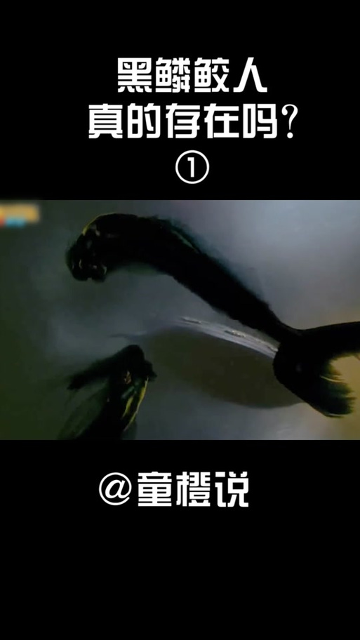 1962年活鲛人现身事件，1962年活鲛人现身事件的具体细节是什么?？  第6张