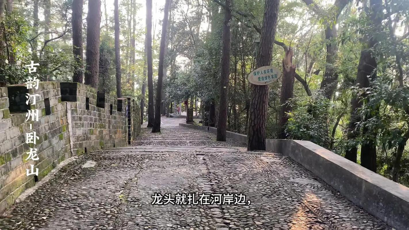 禹州市七天天气预报，禹州市天气预告  第1张