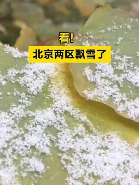 北京昌平天气逐小时，北京昌平天气怎么样?  第5张