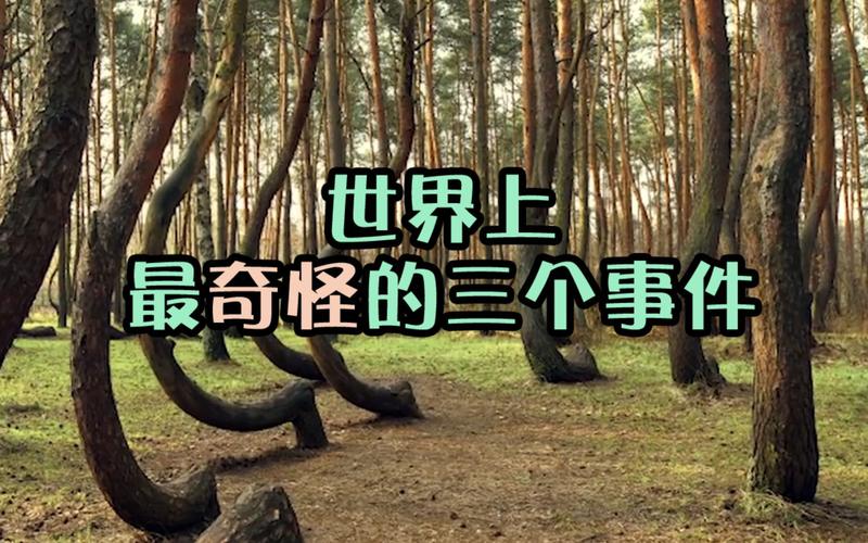 前十奇闻怪事真实案例，奇闻异事怪事？  第1张