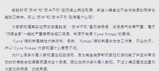 俄罗斯士兵之间的聊天，俄罗斯军人和中国少女恋爱？  第4张
