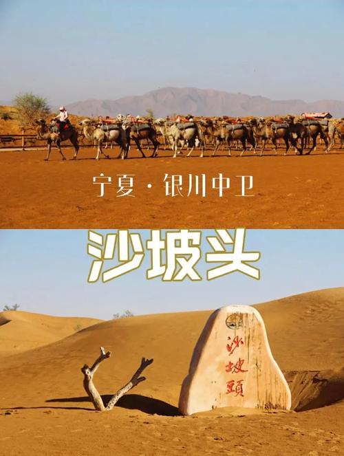 中卫7月份天气情况，中卫7月份热吗？  第1张