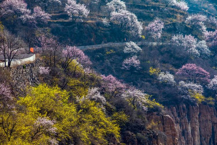 五台山平遥天气预报，五台山平遥天气预报7天？  第4张