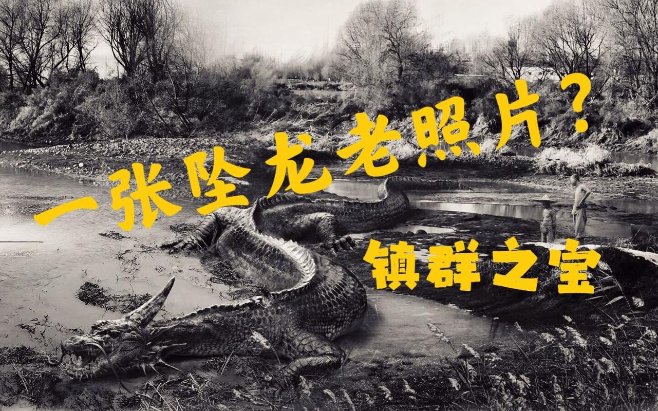 奇异事件松花江坠龙，松花江跳江事件？  第4张