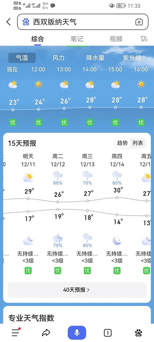 景洪15日天气预报，景洪天气15天预报查询结果  第1张