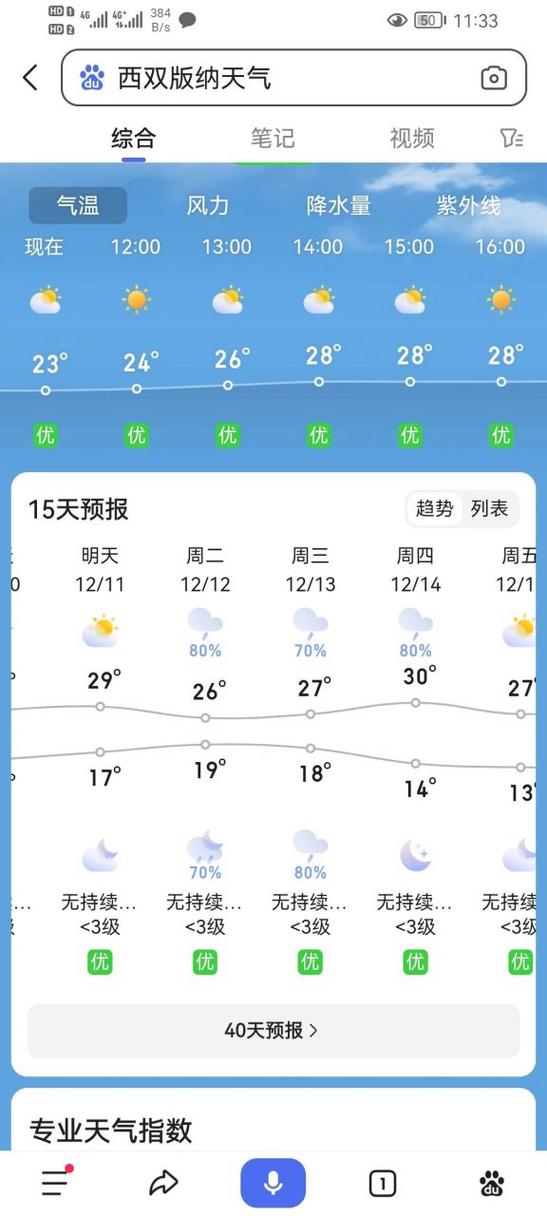景洪15日天气预报，景洪天气15天预报查询结果  第2张
