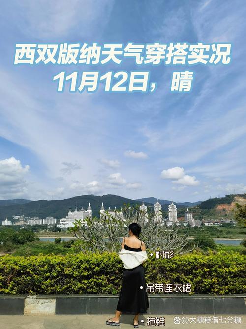 景洪15日天气预报，景洪天气15天预报查询结果  第6张