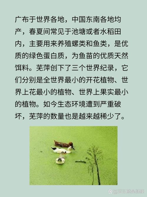 世界上最小的花是什么的花呢？世界上最小的花是什么植物的花？  第5张