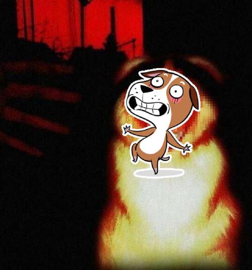 微笑狗图片原图恐怖视频，微笑狗图片原图吓人  第2张