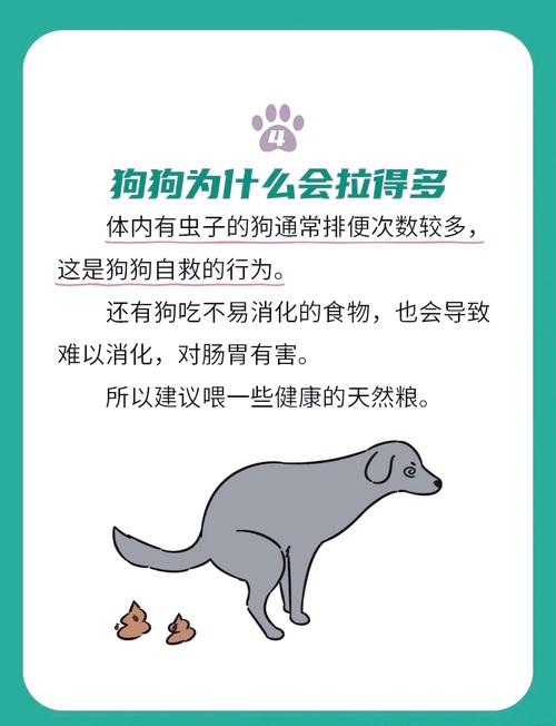 树懒为什么死在拉屎过程中，树懒为什么拉屎会死？  第5张