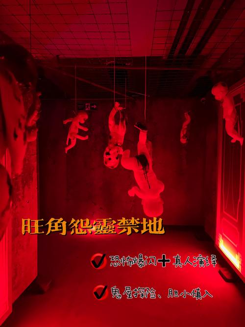 中国最吓人的鬼屋，中国最吓人鬼屋去挑战视频？  第4张