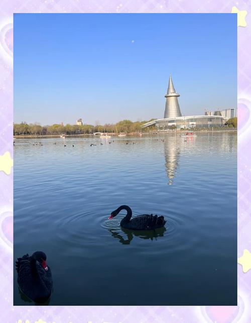 郑州金水天气30天，河南郑州金水天气  第3张