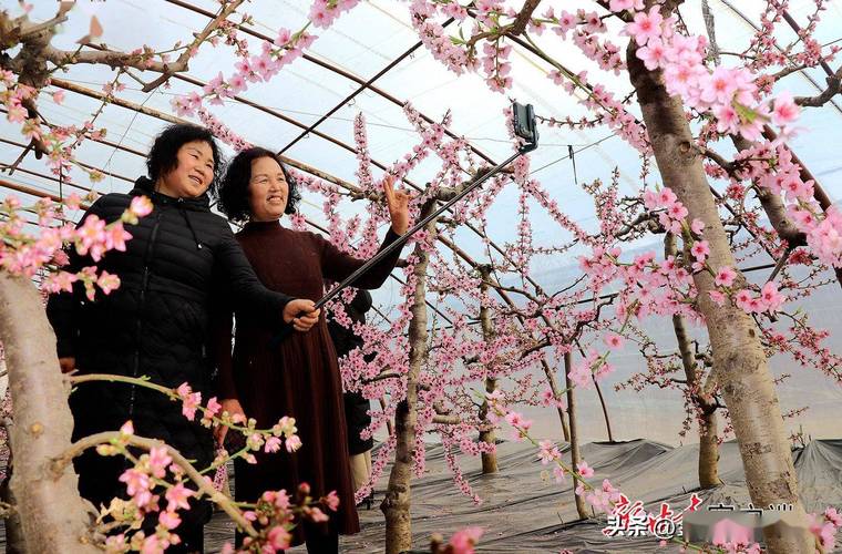静宁天气15天预报？静宁天气预报30天？  第4张