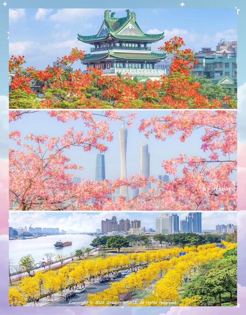 广州8月份天气热吗，广州8月份气温如何？  第1张