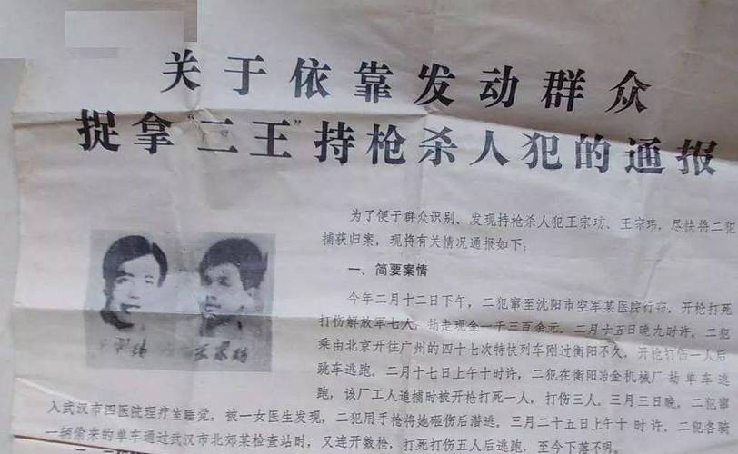 中国前十悍匪东北二王电视剧，前十悍匪东北二王电视剧免费播放全集  第3张