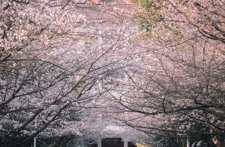 南京雨花台天气预报，南京雨花台天气预报15天查询  第3张