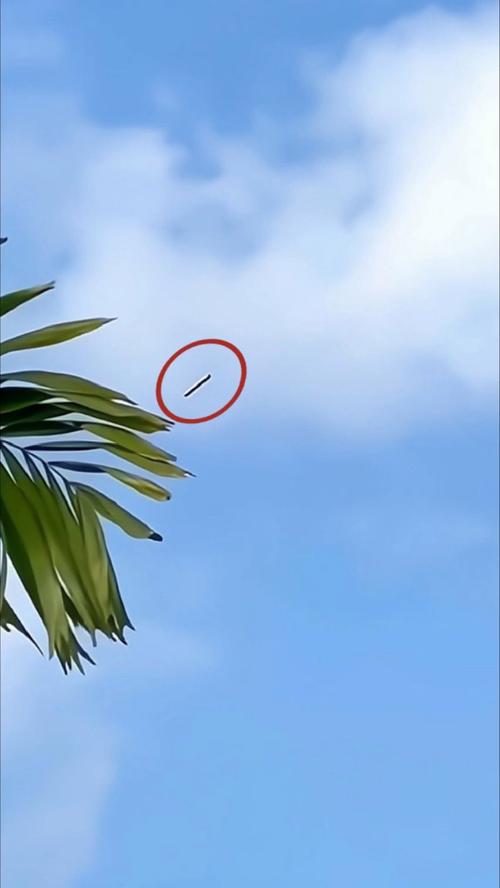 ufo真实事件2022，ufo真实事件以色列  第4张