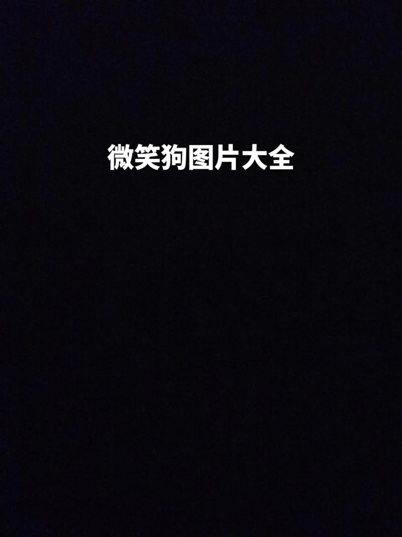 微笑狗的诅咒是真的吗，微笑狗背后故事是什么  第6张