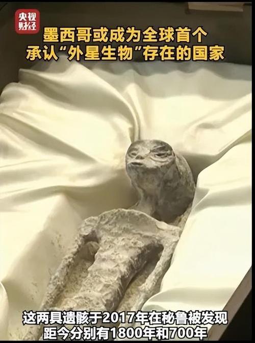 7个外星人真实视频，7个外星人真实视频下载  第1张