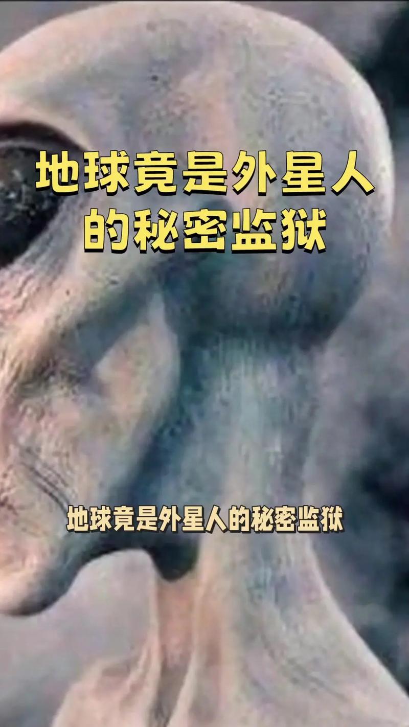 7个外星人真实视频，7个外星人真实视频下载  第5张