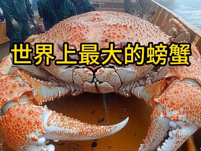 世界上最大的动物是蓝鲸吗，世界上最大的动物是蓝鲸,体重一般是100  第1张