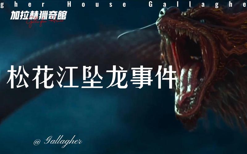 发现龙的真实事件，发现龙的图片？  第2张