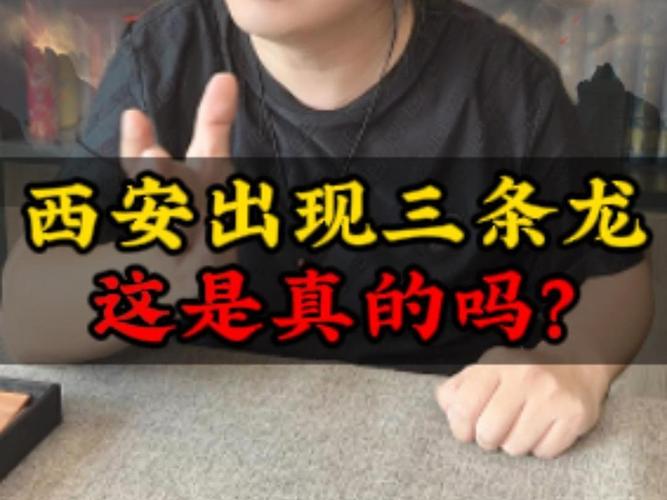 发现龙的真实事件，发现龙的图片？  第6张