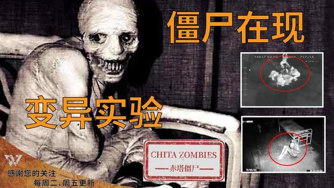 俄罗斯赤塔事件发生时间？俄罗斯赤塔中文版地图？  第3张
