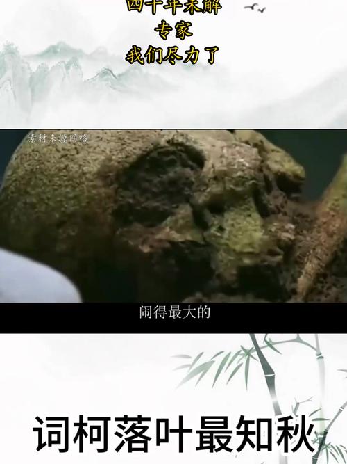 黄河边挖出透明棺材去哪了，黄河透明棺材真实解释？  第6张