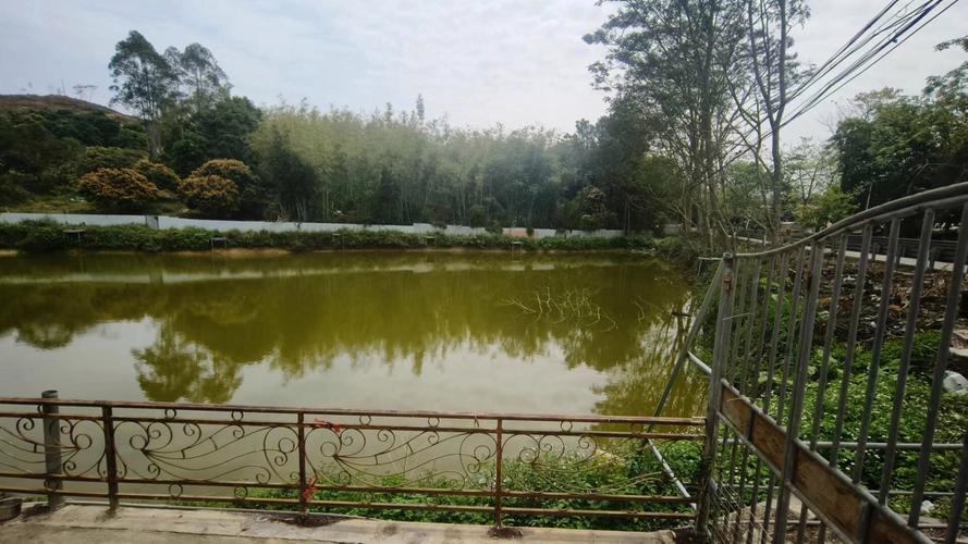 广州增城区天气怎样，广州增城的天气情况  第6张