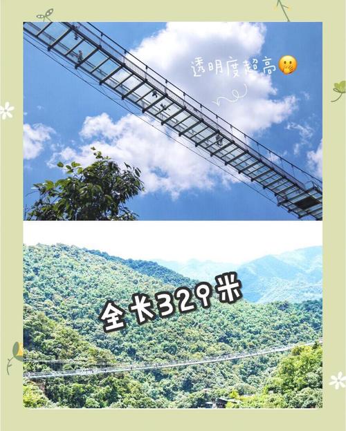 广州公交ufo事件？广州公交ufo事件始末？  第3张