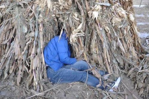 千万不能搜的恐怖图片，千万不能看的恐怖图片？  第5张