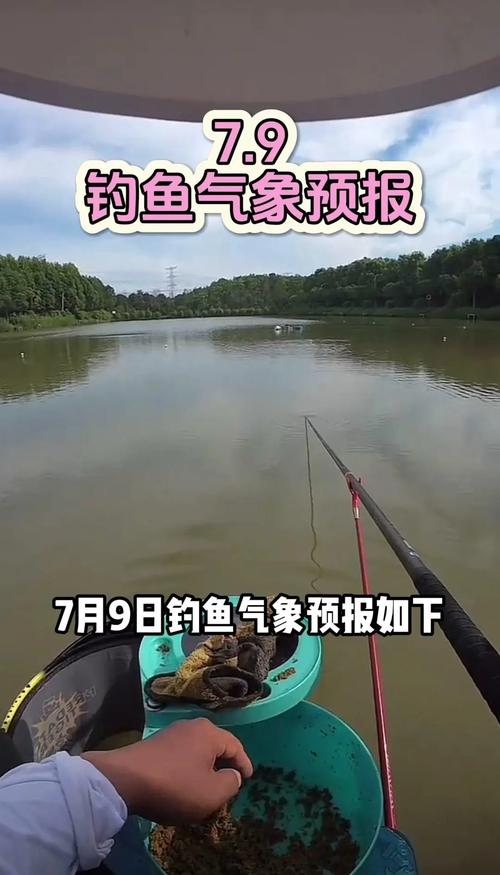 孝感市明天天气预报，孝感市明天天气预报24小时  第4张