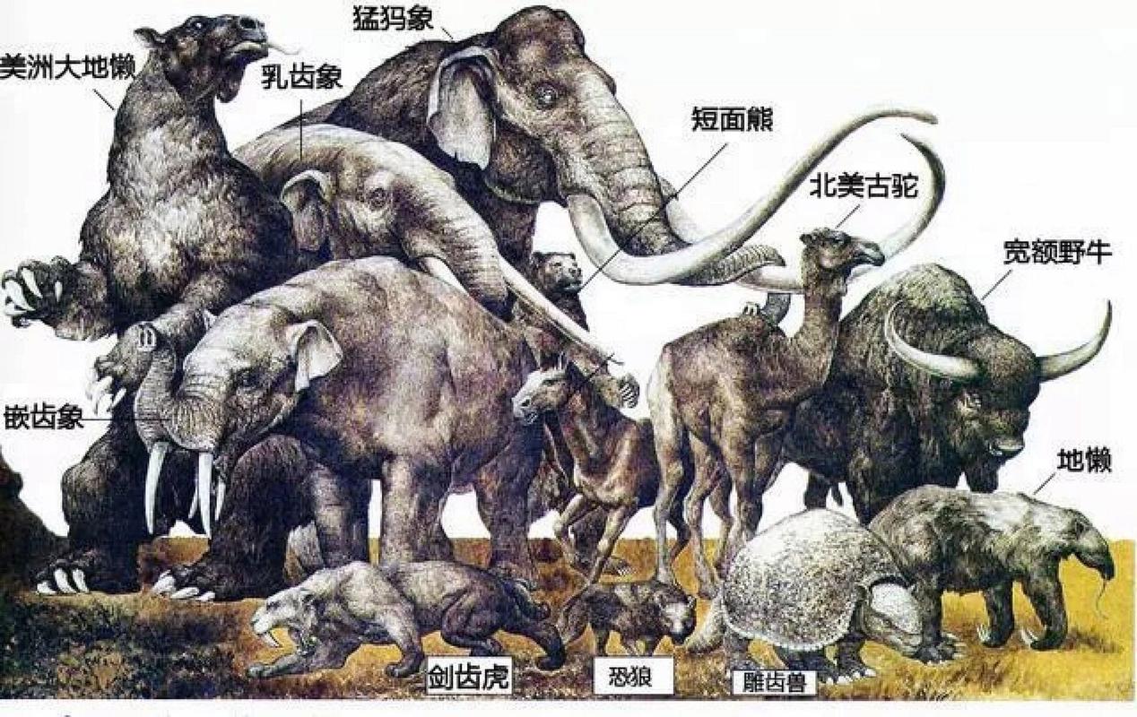 13种未灭绝的史前动物，科学家禁止复活的九种动物  第3张