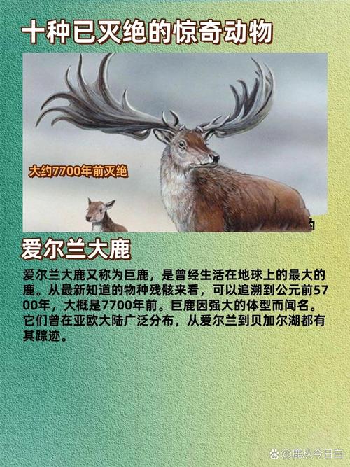 13种未灭绝的史前动物，科学家禁止复活的九种动物  第4张