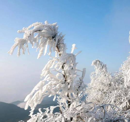 东阳东白山实时天气，东阳东白山实时天气情况  第3张