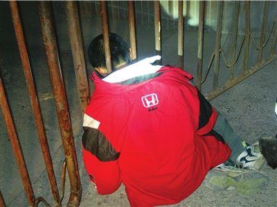 红衣小男孩事件真相？重红衣小男孩？  第4张