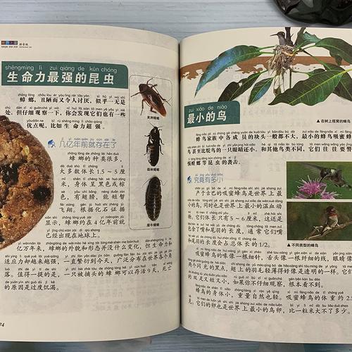 中国未解之谜的作者？中国未解之谜作者龚勋吗什么国家？  第5张