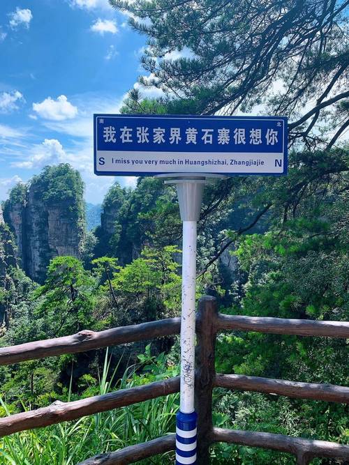 桑植40天天气预报？桑植一周天气预报？  第5张