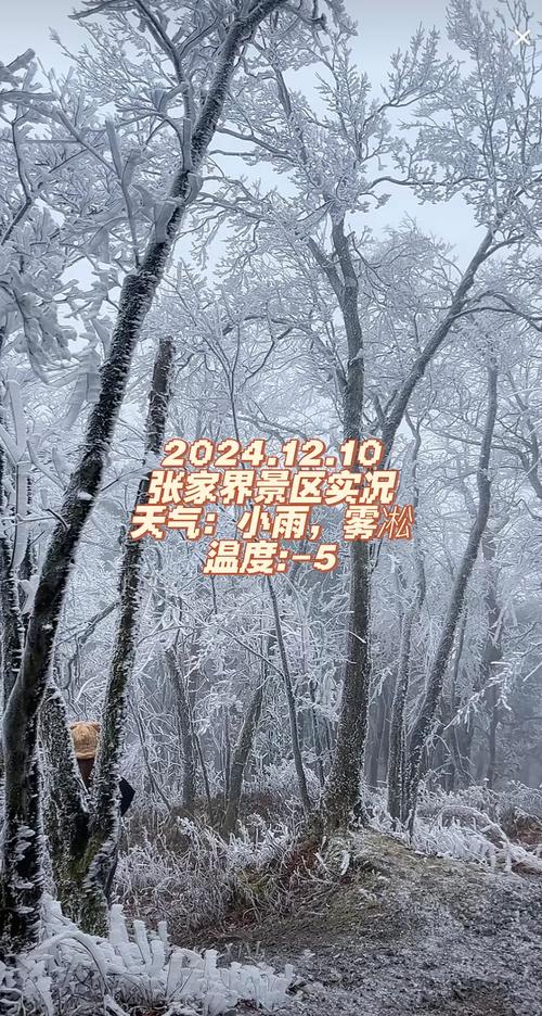 桑植40天天气预报？桑植一周天气预报？  第4张
