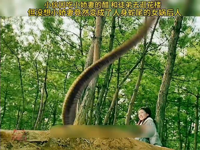 马来西亚人头蛇身怪物？马来西亚的蛇？  第6张